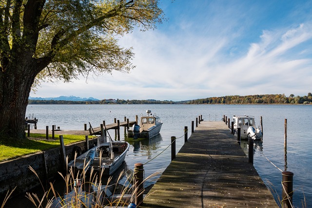 和有潜力的 和有潜力的