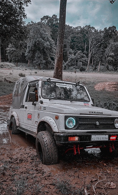 展成熟的标 展成熟的标