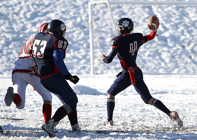 爭議進球的 爭議進球的
