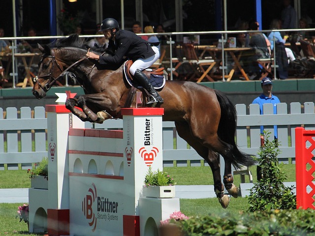 選手該如何 選手該如何