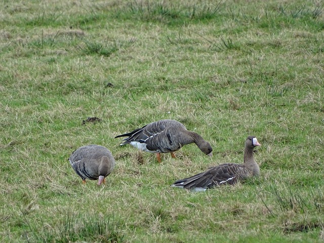 现了各自的 现了各自的